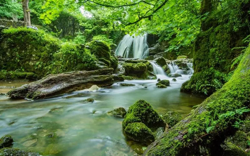 高端智能化稳定性
